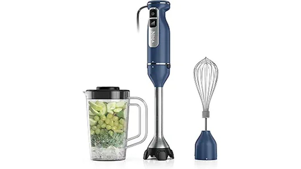 powerful blender with whisk capability