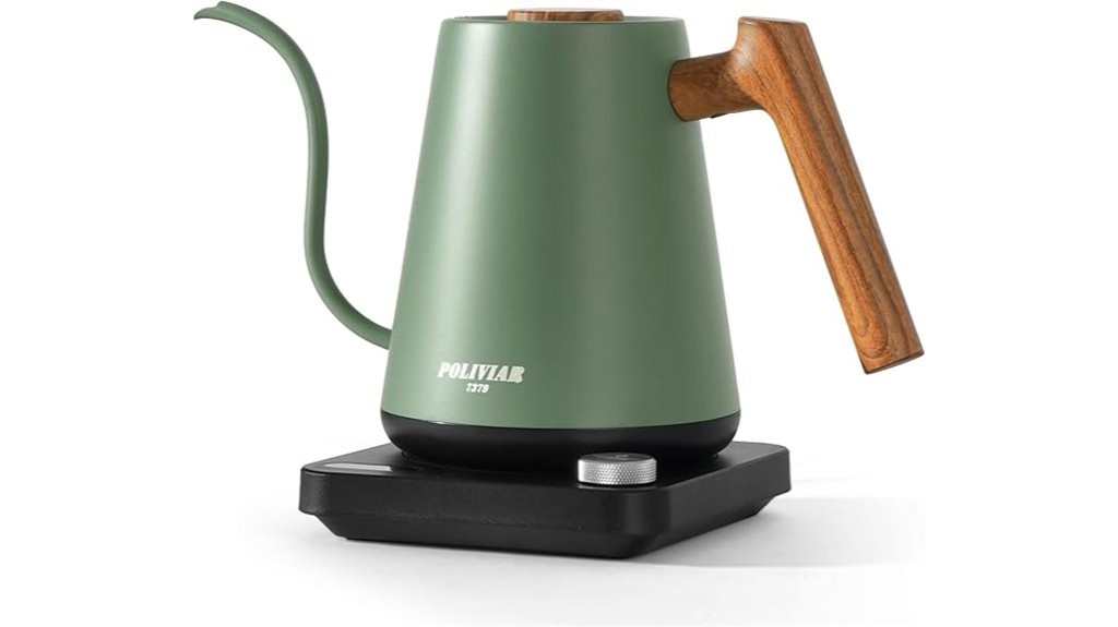 powerful electric gooseneck kettle