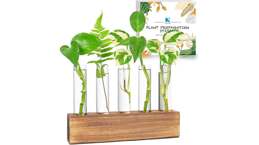 propagation station for kaxyew plants