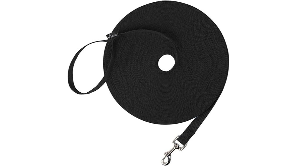 puppy obedience agility training leash
