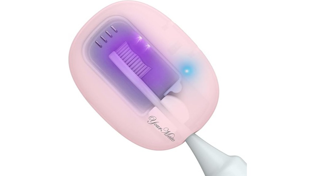rechargeable uv toothbrush sanitizer case