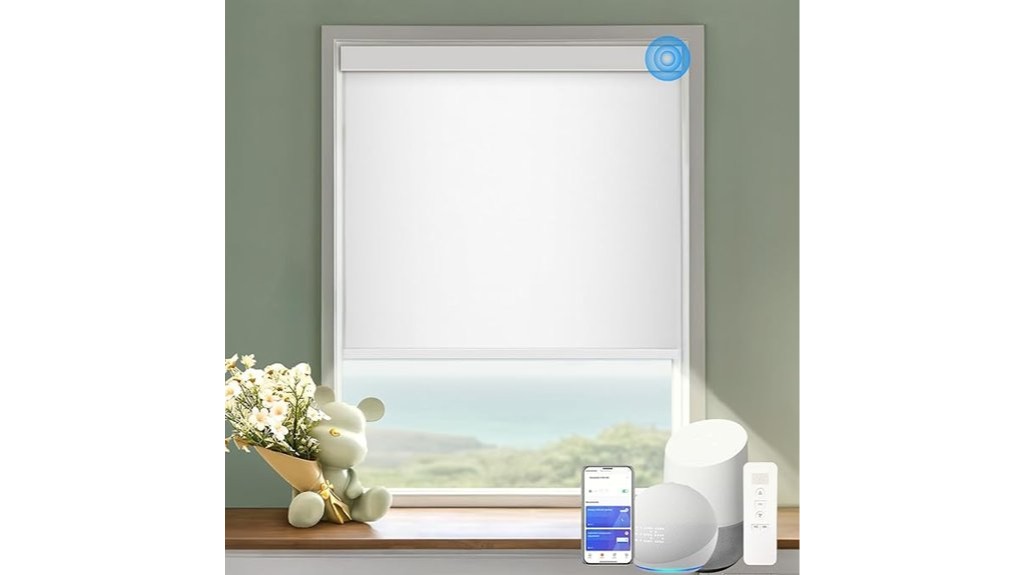 remote controlled motorized blinds