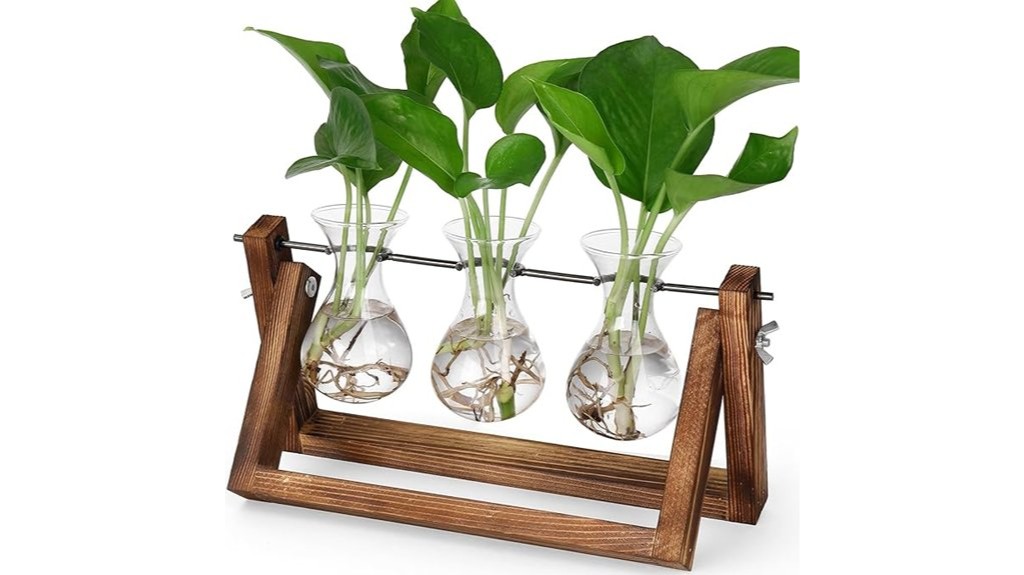 retro wooden terrarium propagation stations