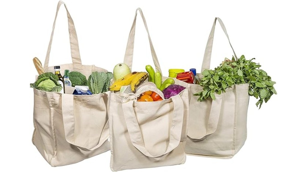 reusable canvas grocery bags with handles