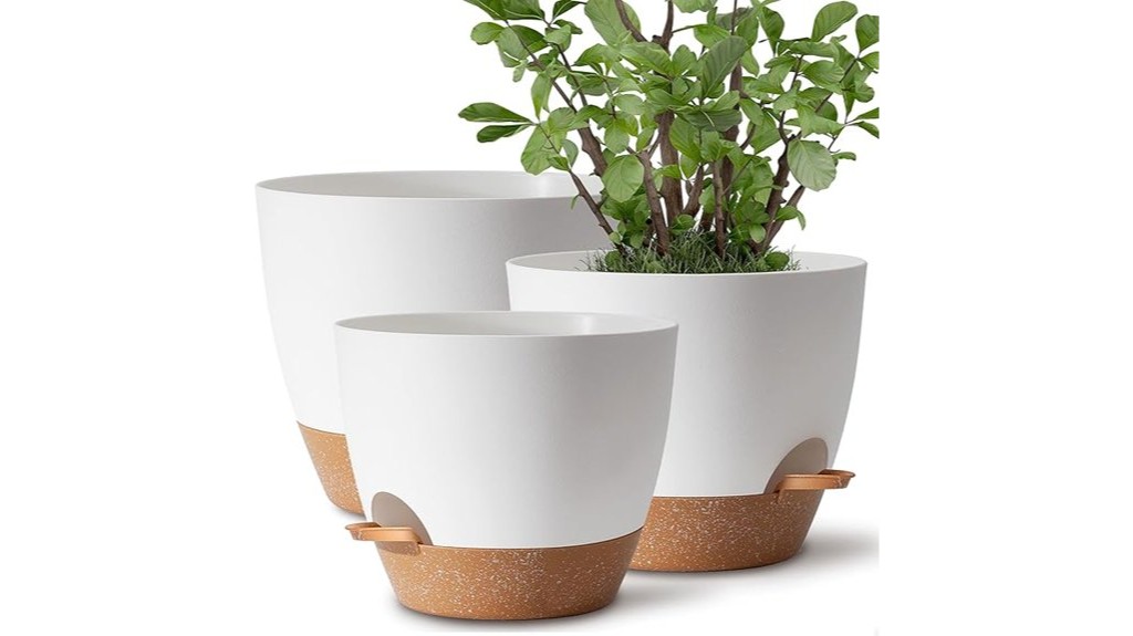 self watering plant pots
