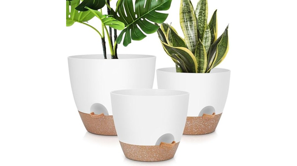 self watering plant pots