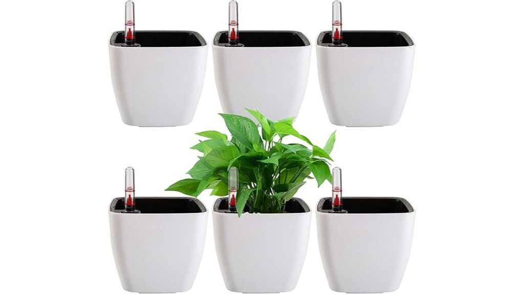 self watering plant pots