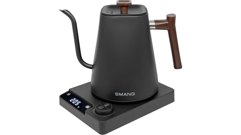 sleek stainless steel electric gooseneck kettle