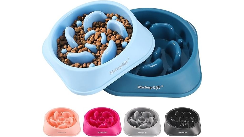 slow feed dog bowls in pairs