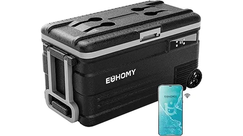 small 12v refrigerator capacity