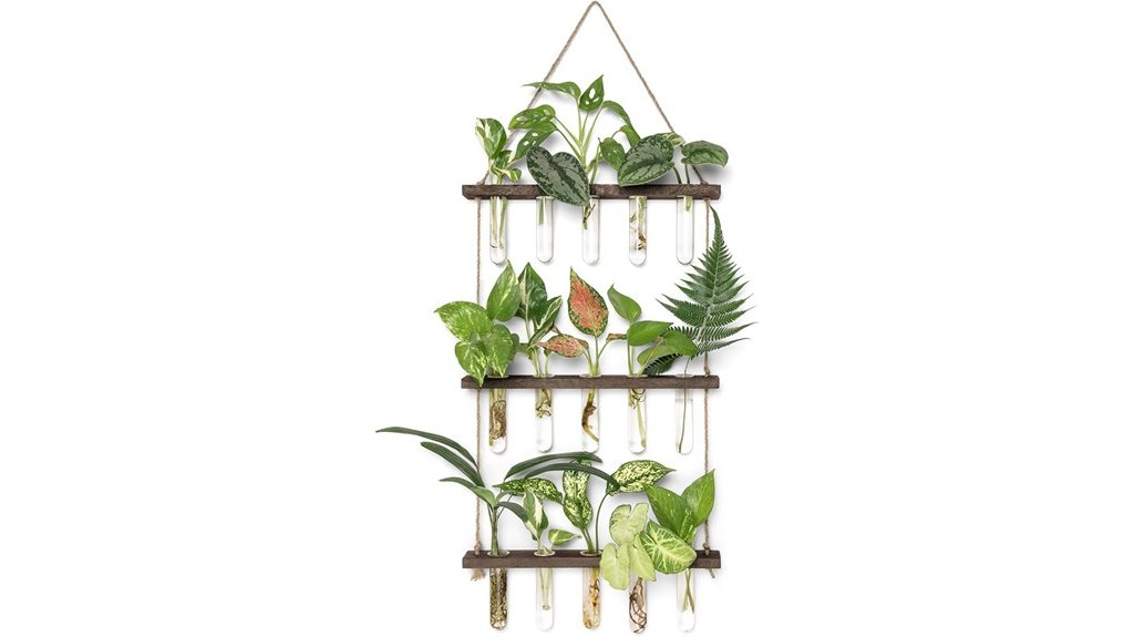 wall mounted succulent propagator