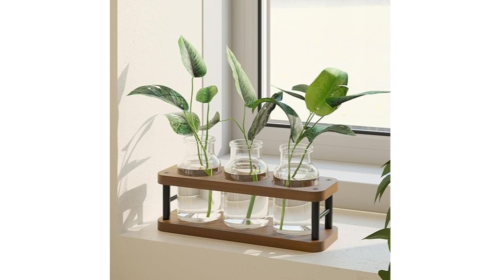 wooden propagation station for plants