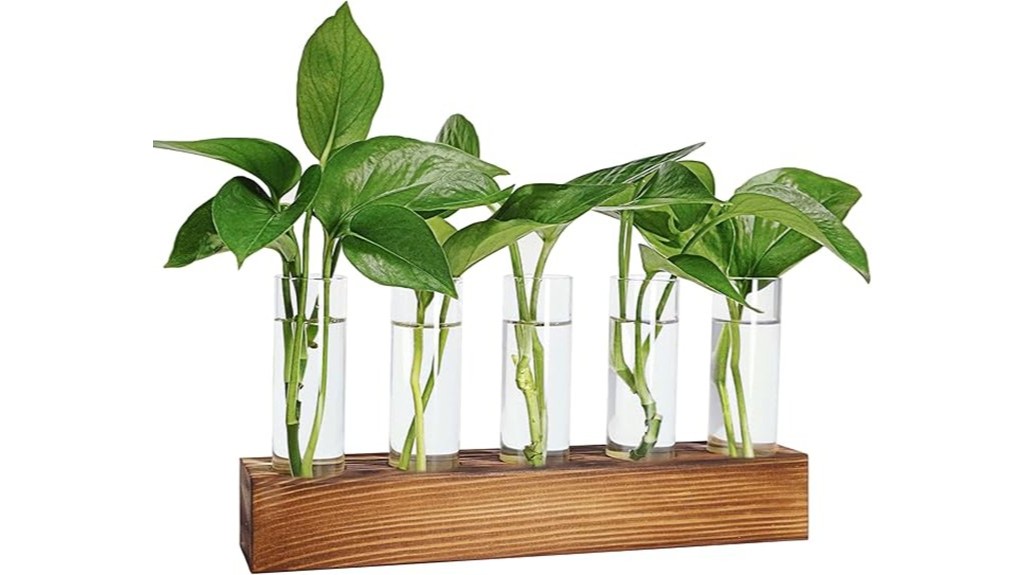wooden stand plant propagation station