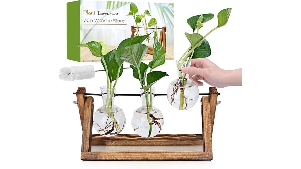 wooden stand plant propagation station