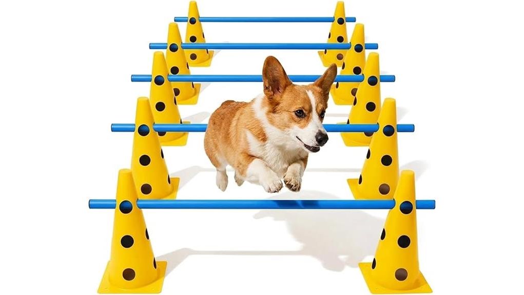 12 cone adjustable agility hurdles