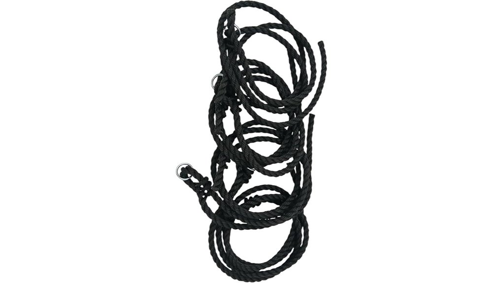 a l 12ft black swing