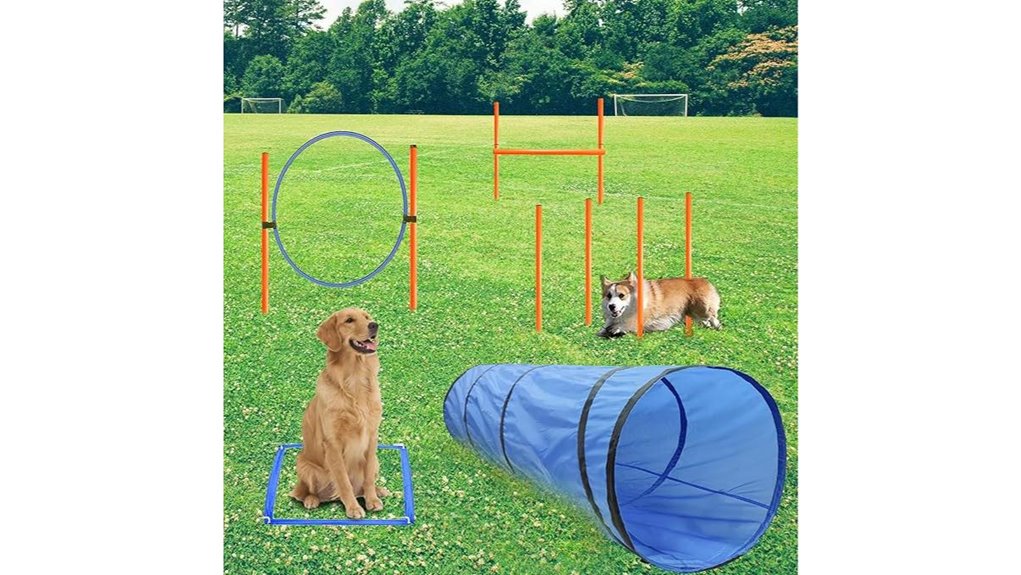 agility kit tunnel included