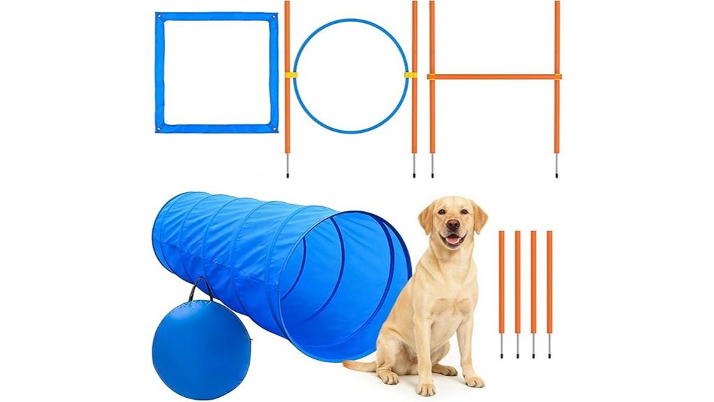 agility set with bowls