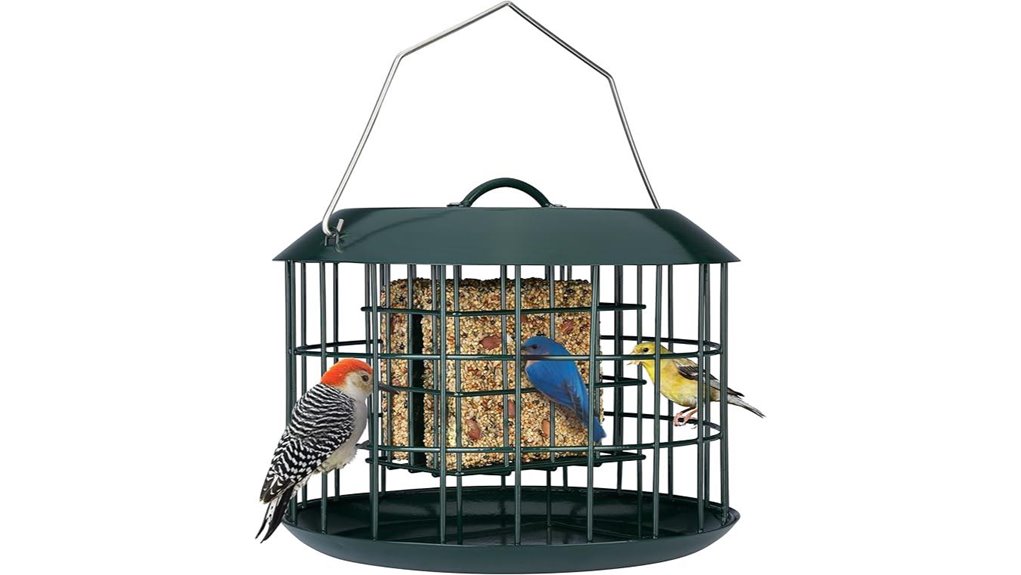 all metal double capacity squirrel proof feeder