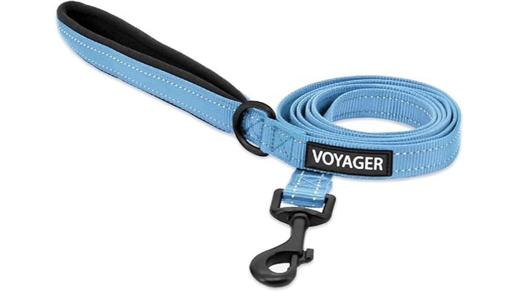 baby blue reflective leash