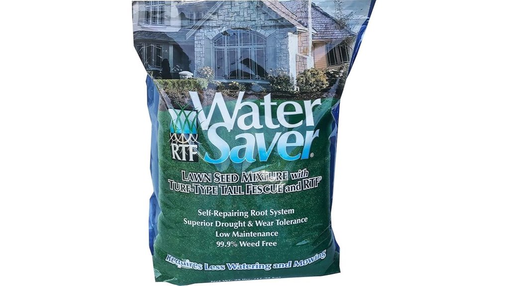 barenbrug water saving grass seed