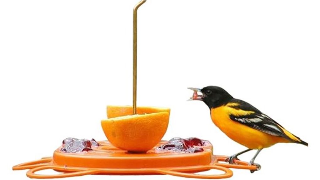birds choice oriolefest feeder