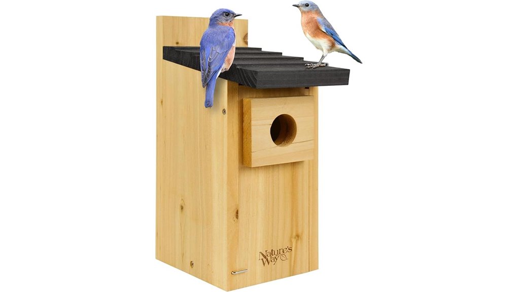 cedar bluebird box house