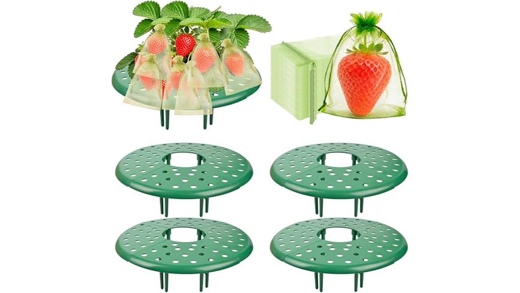 chezmax 4 pack strawberry supports