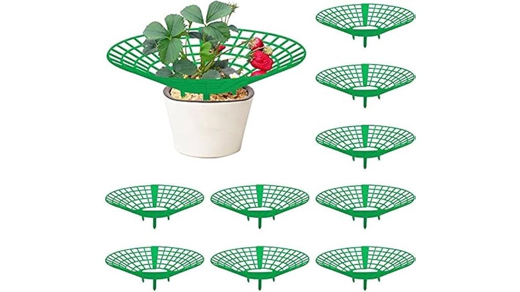 codree 10 pack strawberry supports