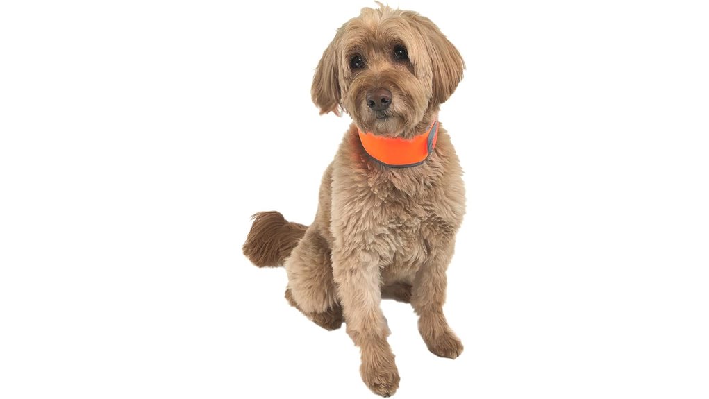 cooling medium sized hi vis collar