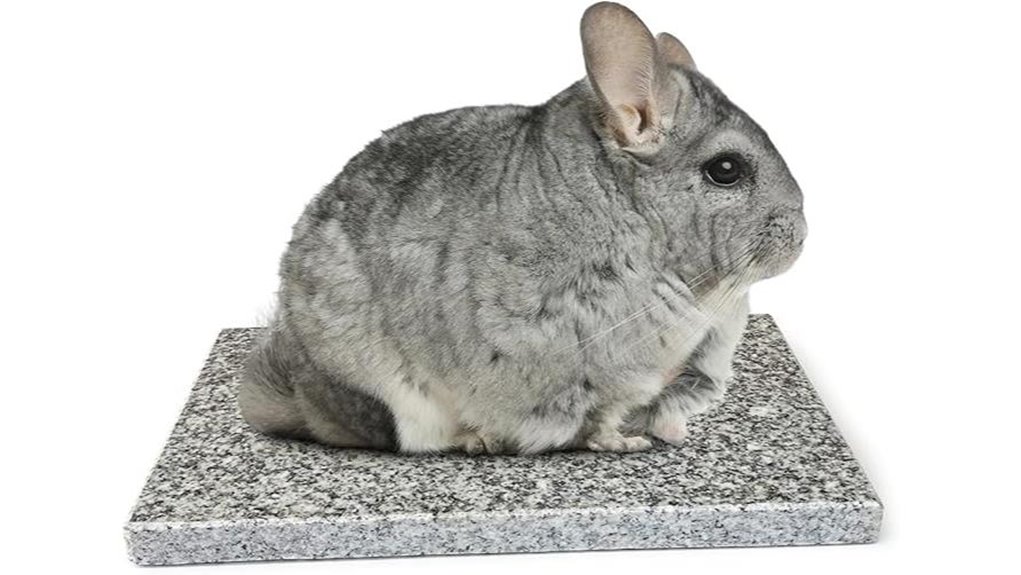 cooling stone for chinchillas