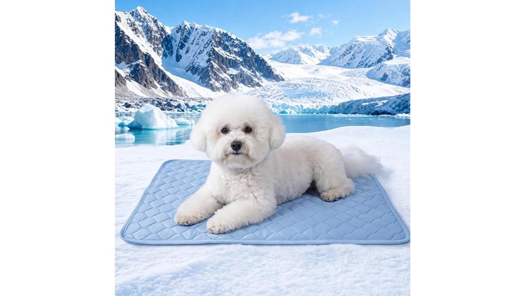 dog cooling mat 22x28