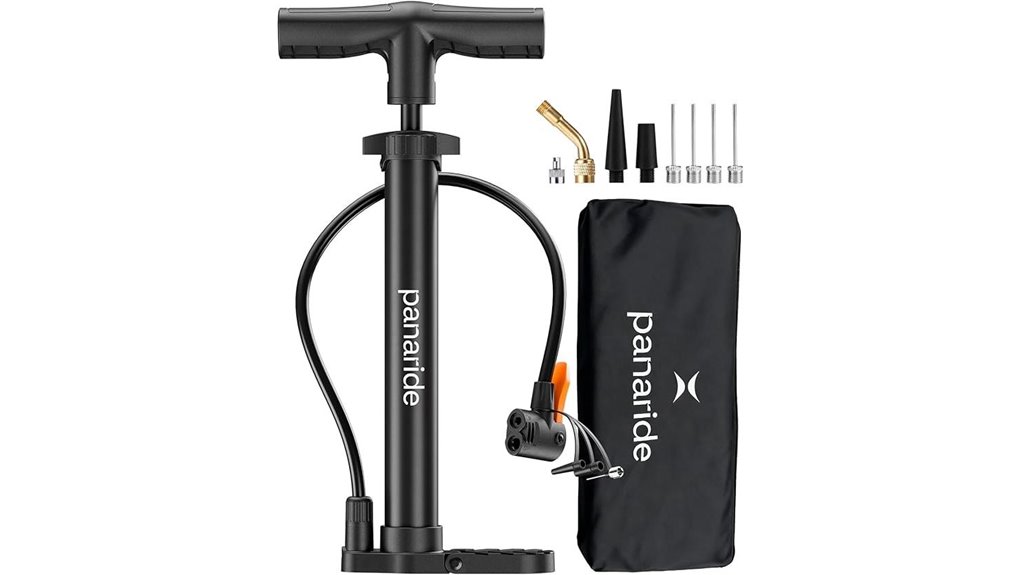 dual valve handheld pump