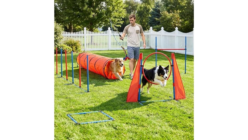 dwvo dog agility set