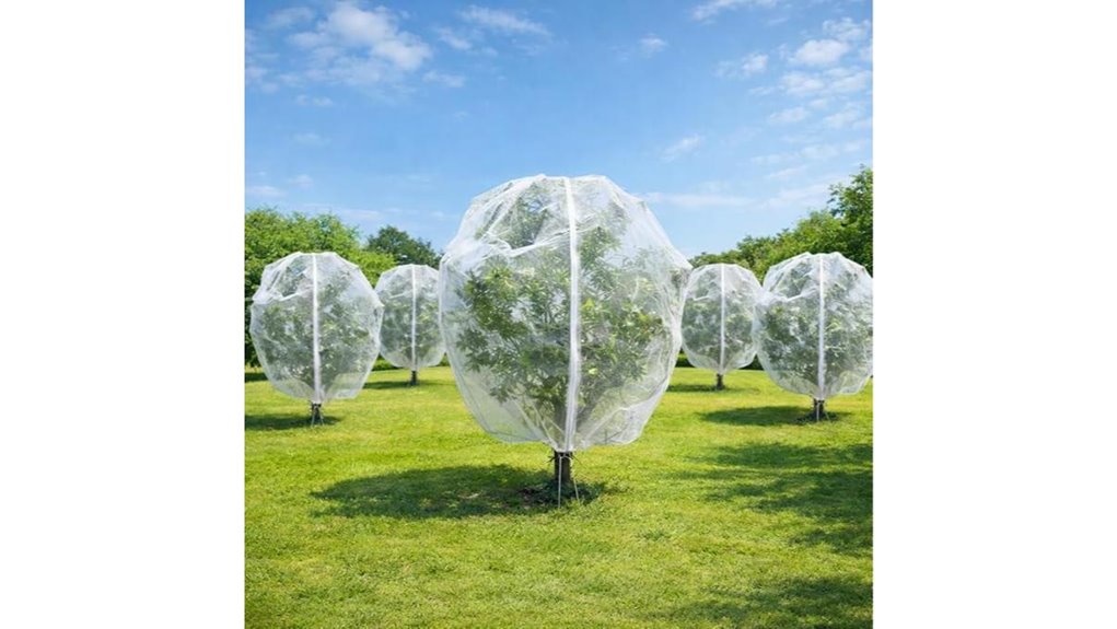 five pack 10x10ft fruittree