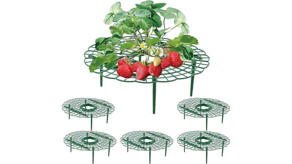 five piece strawberry growing stand