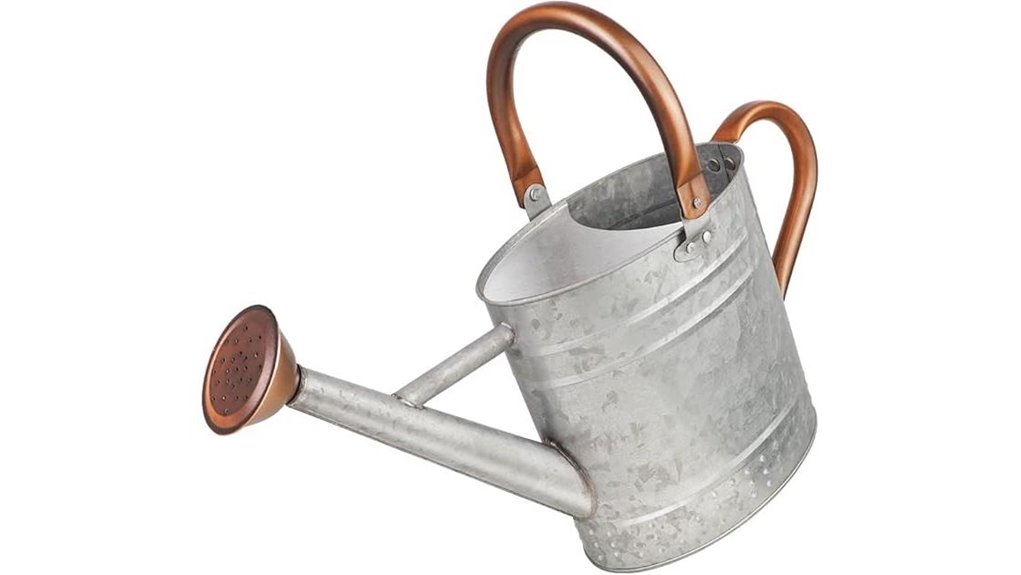 gallon galvanized removable spout