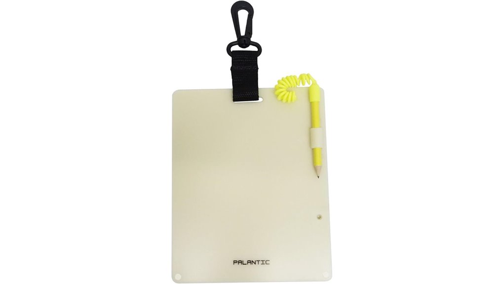 glowing palantic dive slate