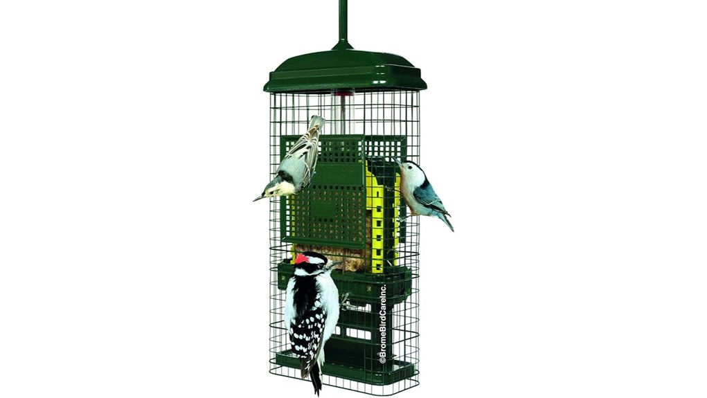 green squirrel buster suet feeder