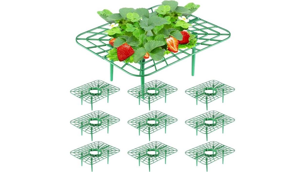 havawish 10 strawberry stands