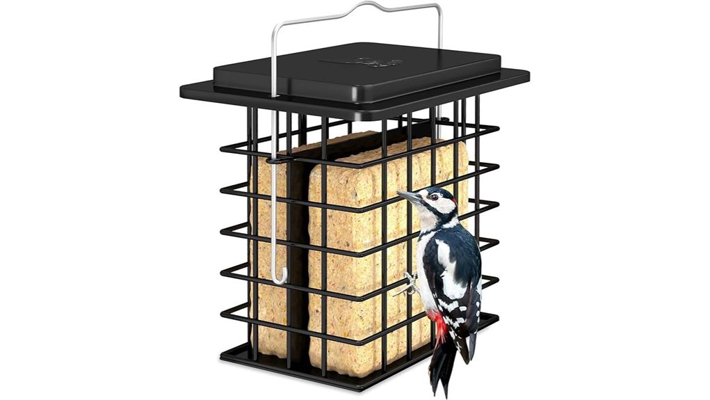iborn double suet feeder