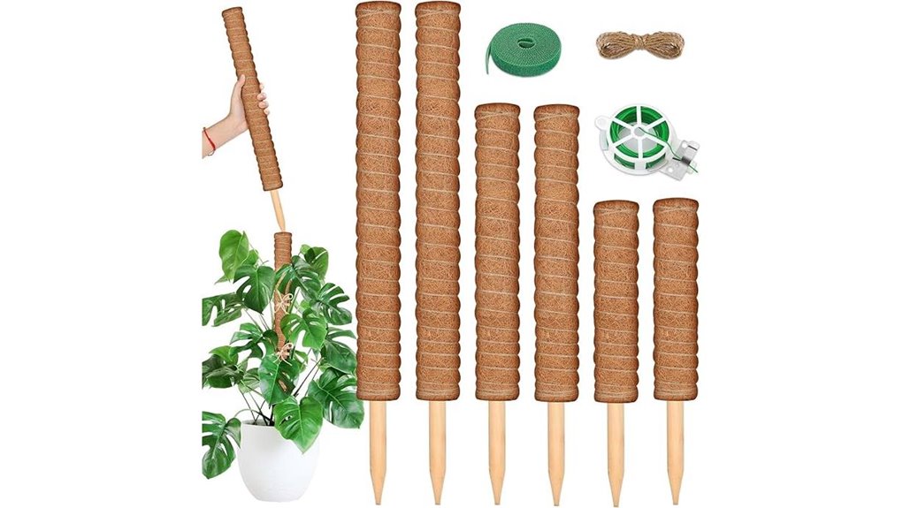 indoor 10 foot moss kit
