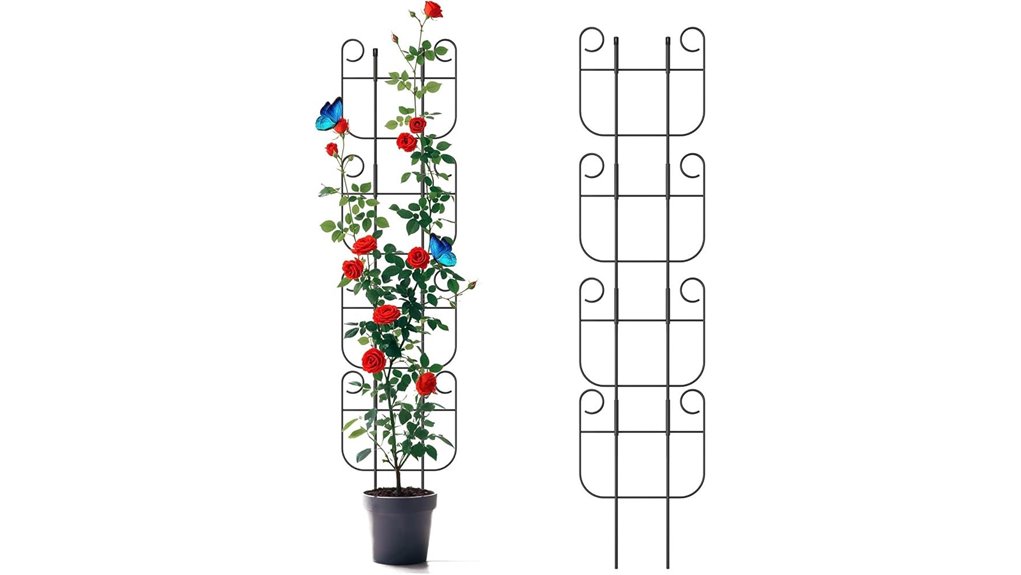 indoor 4 pack plant trellis