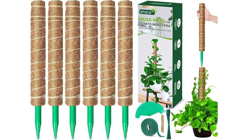 indoor 6 pack 21 inch moss