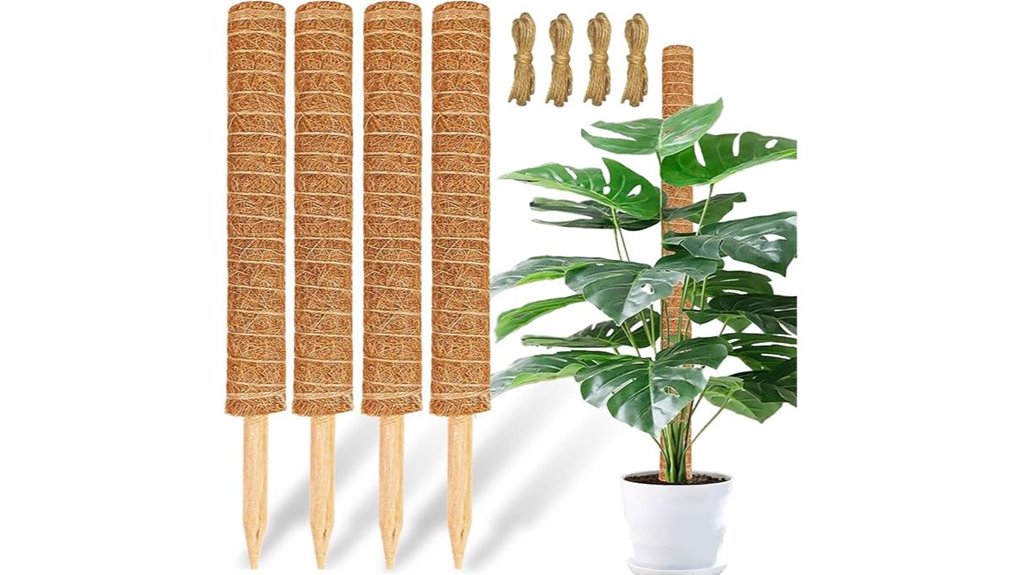 indoor moss poles 4 pack