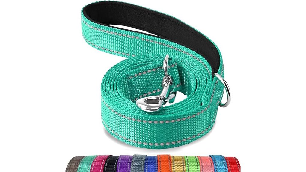 joytale 6ft reflective leash