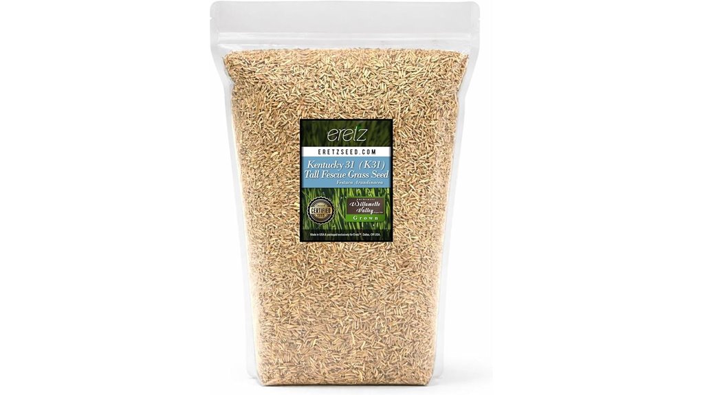 kentucky 31 fescue 3lbs