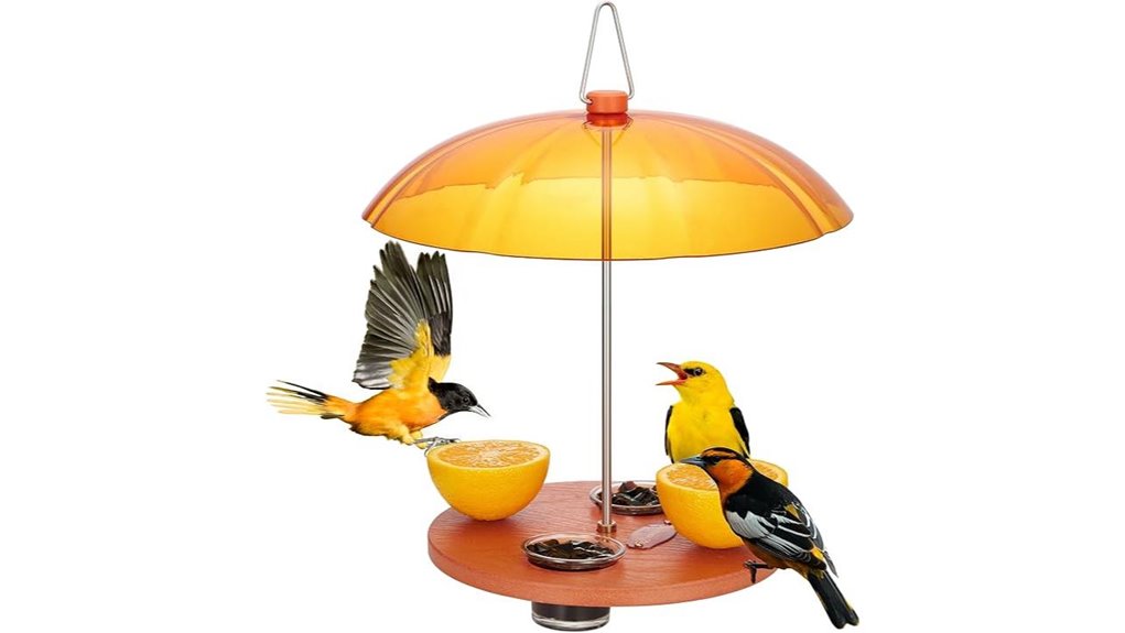 kingsyard oriole dome feeder