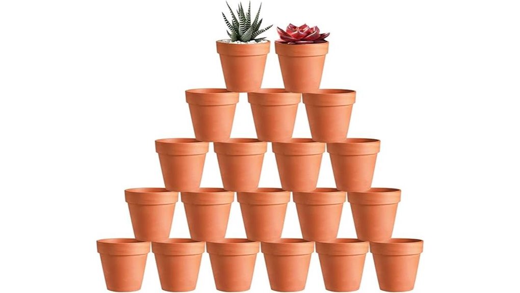 koamly 3 inch 20 pack succulents