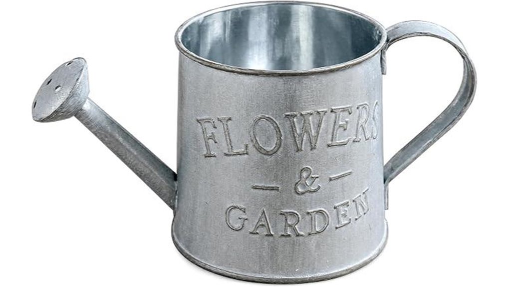 mini galvanized indoor watering
